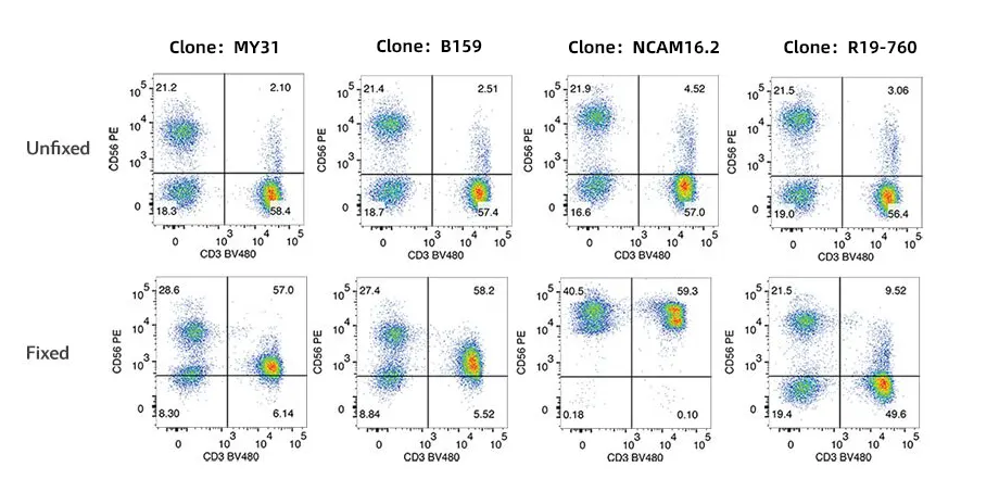 Differential post-fixation performance among distinct CD56 antibody clones