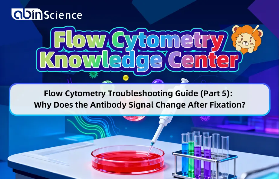 Flow Cytometry Troubleshooting Guide (Part 5): Why Does the Antibody Signal Change After Fixation?