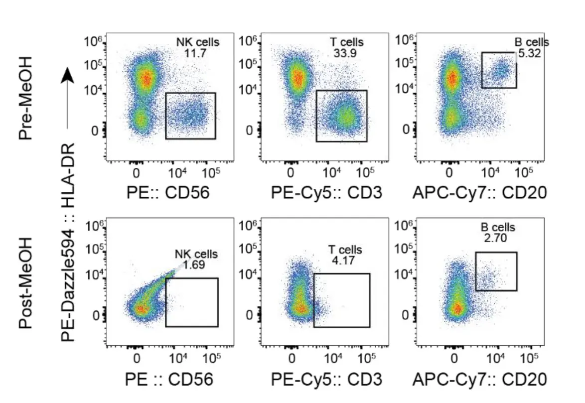 Fixation-induced loss of tandem dye signal intensity