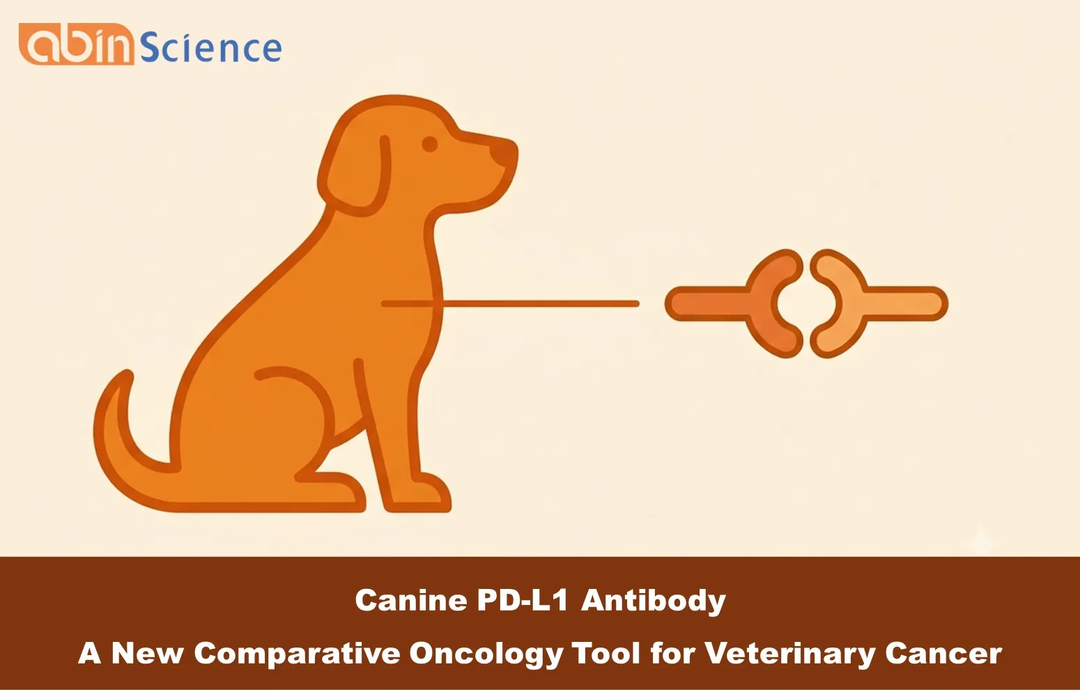 Canine PD-L1 Antibody: A New Comparative Oncology Tool for Veterinary Cancer Research