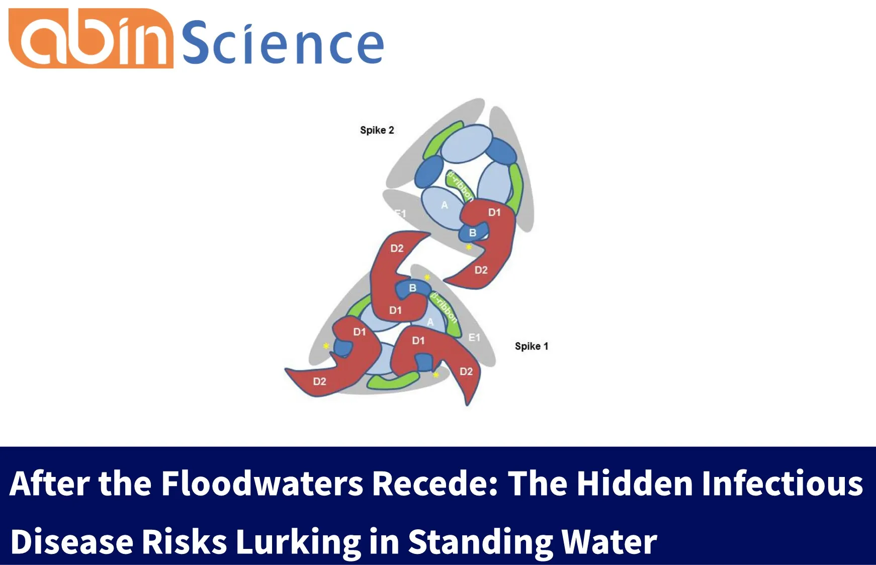 After the Floodwaters Recede: The Hidden Infectious Disease Risks Lurking in Standing Water