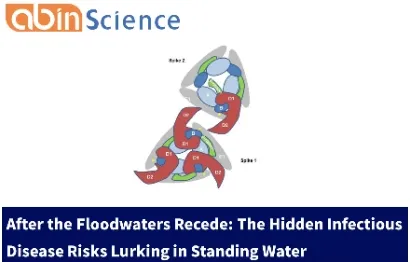 After the Floodwaters Recede: The Hidden Infectious Disease Risks Lurking in Standing Water