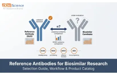 Reference Antibodies for Biosimilar Development: How to Select and Use RUO Standards in Your Characterization Workflow