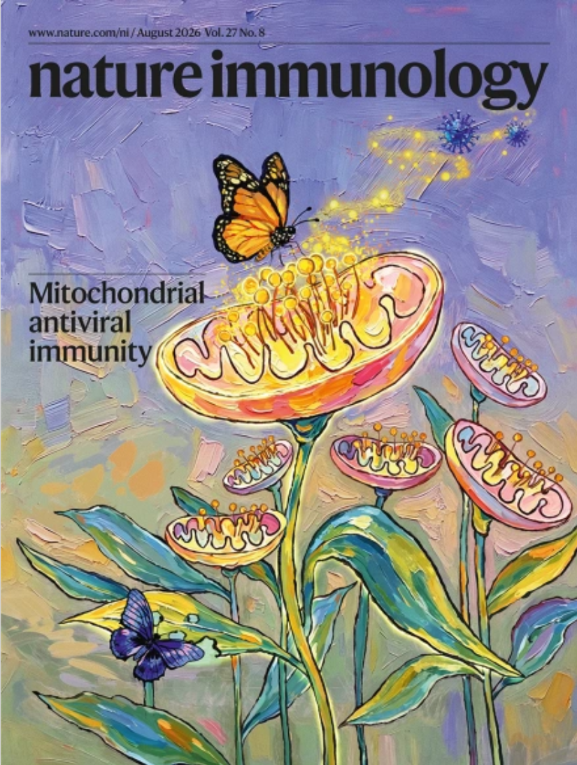 Tissue-resident immune cells drive genetic risk in autoimmune and lung diseases