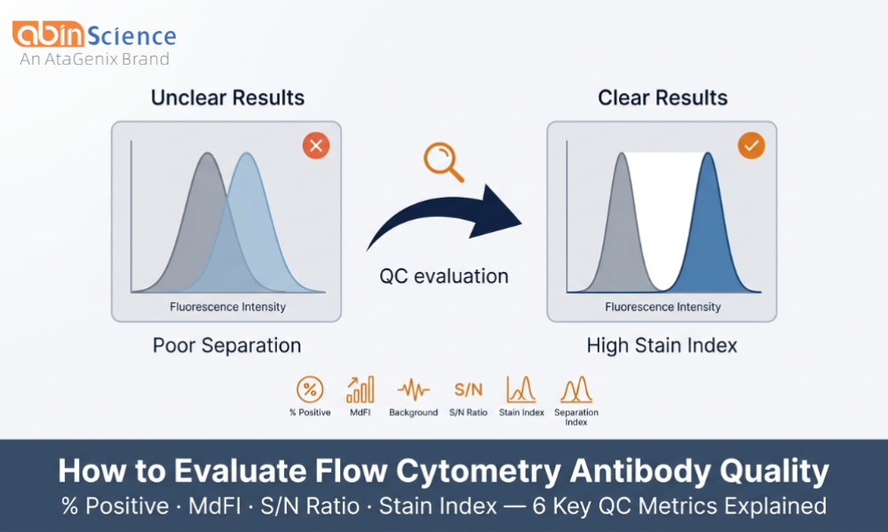 Understanding Flow Cytometry Antibody Validation: How QC Data Explain Performance Differences Between Antibodies