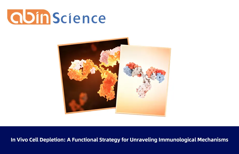 In Vivo Cell Depletion: A Functional Strategy for Unraveling Immunological Mechanisms