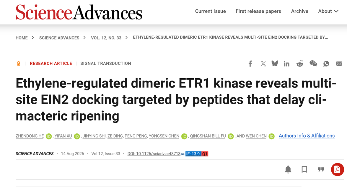Ethylene-regulated dimeric ETR1 kinase reveals multi-site EIN2 docking targeted by peptides that delay climacteric ripening