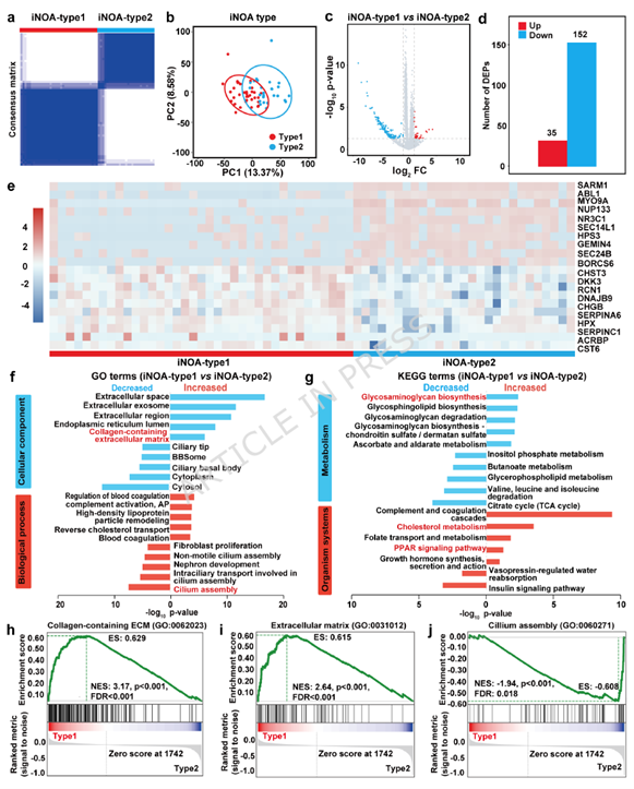 SPEV proteomics identifies two molecular subtypes within iNOA