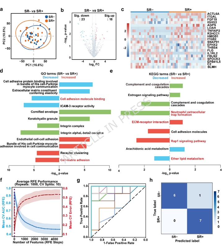 SPEV proteomic differences between the SR- and SR+ groups
