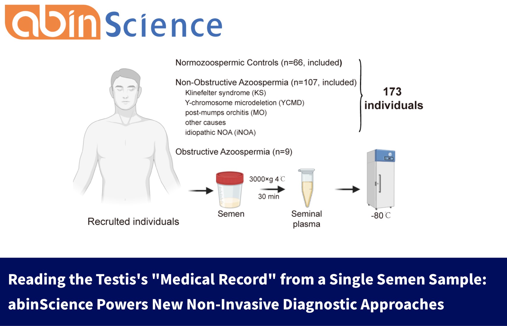 Reading the Testis's "Medical Record" from a Single Semen Sample: abinScience Powers New Non-Invasive Diagnostic Approaches