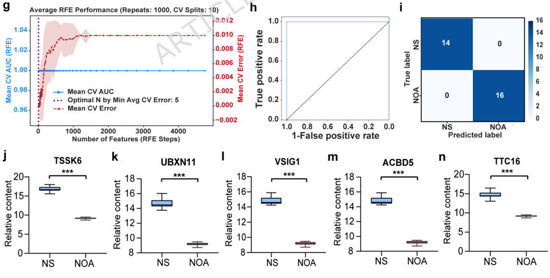 Discriminative performance of the core protein classification model