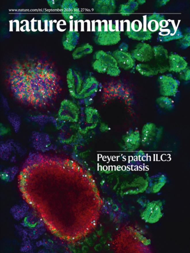 Potent type-specific de novo antibodies complement broadly reactive imprinted antibodies in immune responses to SARS-CoV-2 variants