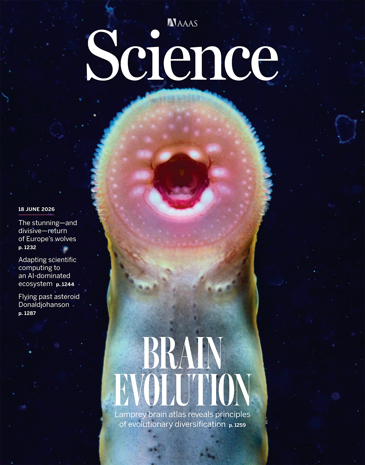 An HIV vaccine blueprint
