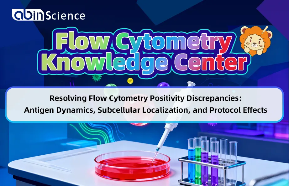 Resolving Flow Cytometry Positivity Discrepancies: Antigen Dynamics, Subcellular Localization, and Protocol Effects