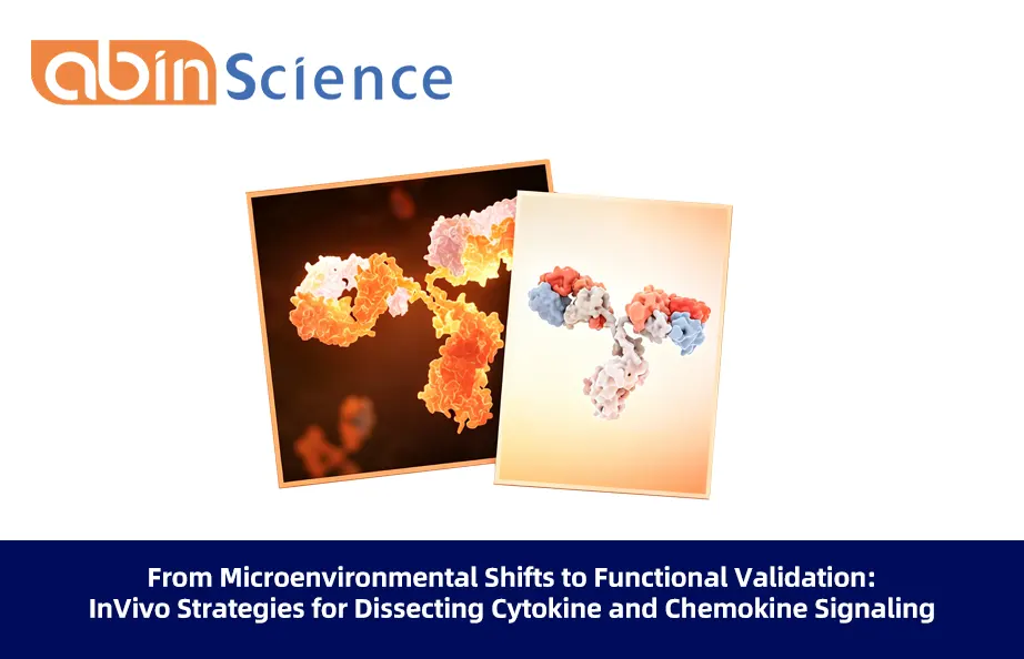 From Microenvironmental Shifts to Functional Validation: InVivo Strategies for Dissecting Cytokine and Chemokine Signaling