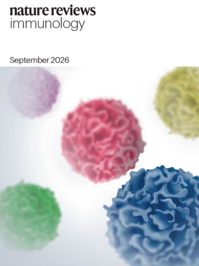T cell engagers in autoimmune diseases