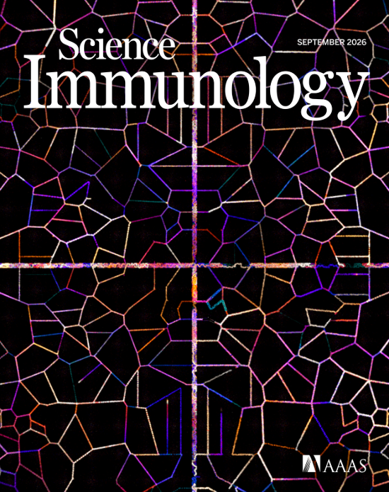A previously unobserved TREM2-positive macrophage subset in acne lesions