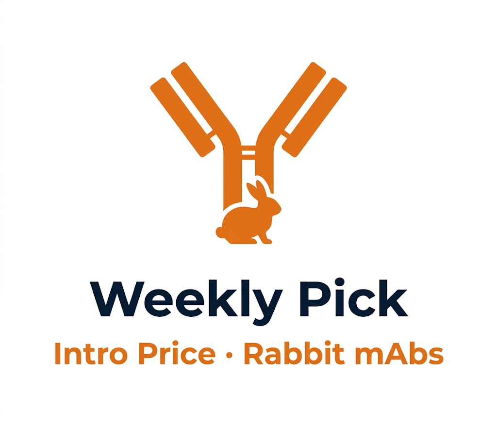 Weekly Pick | Cell Survival & Apoptosis Pathway &middot; New Recombinant Rabbit mAbs at Fixed Price
