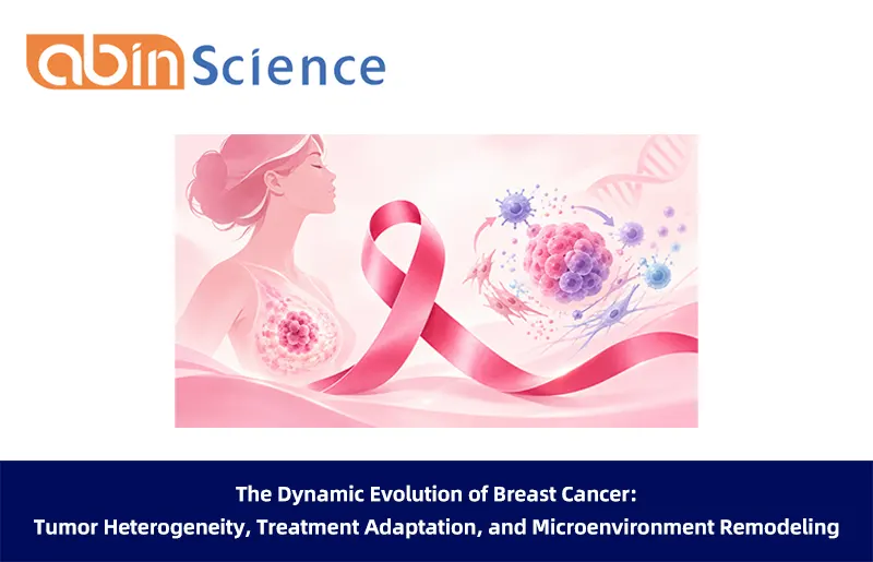 The Dynamic Evolution of Breast Cancer: Tumor Heterogeneity, Treatment Adaptation, and Microenvironment Remodeling