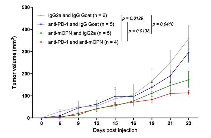 Application of isotype controls in invivo antibody intervention studies