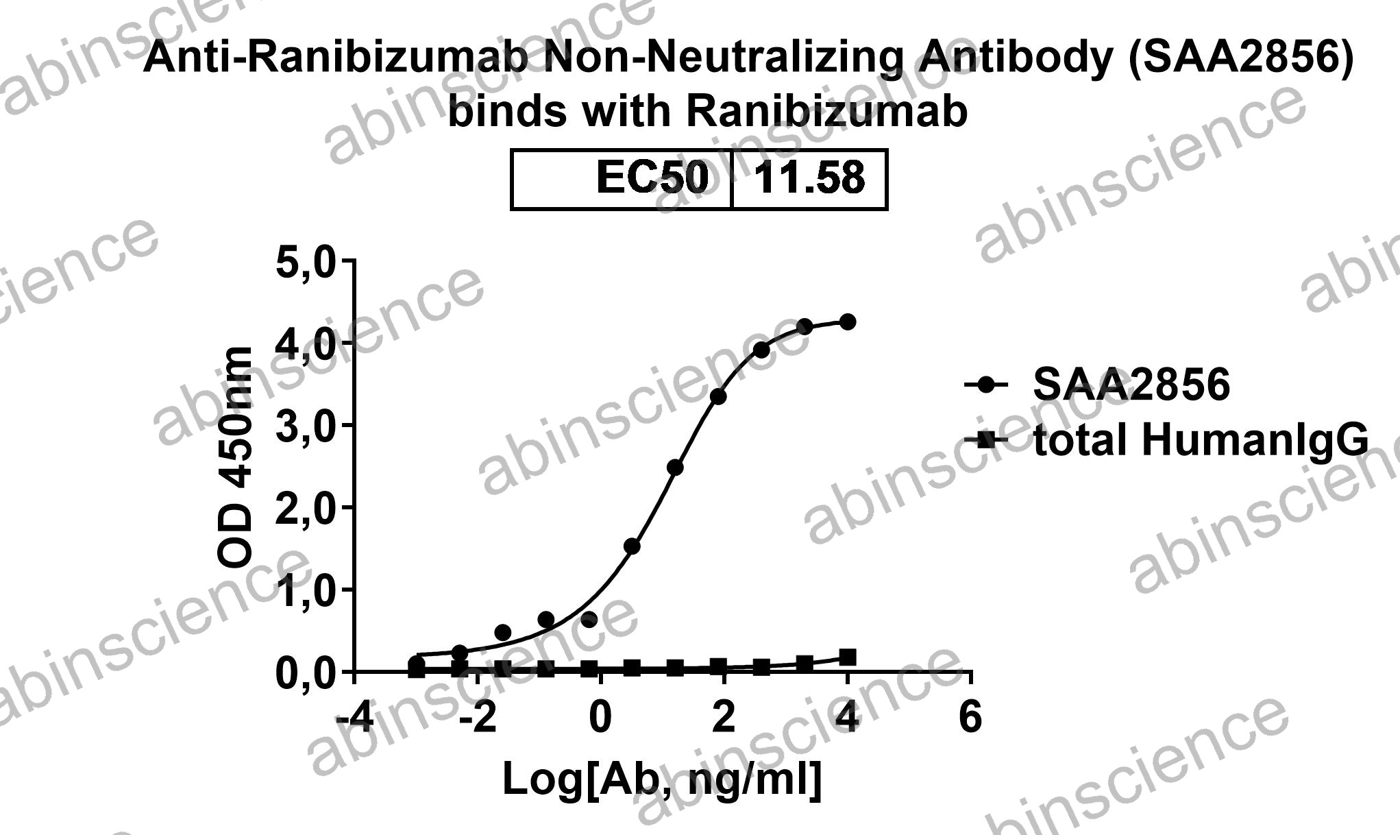Anti-Ranibizumab Non-Neutralizing Recombinant Antibody (SAA2856)