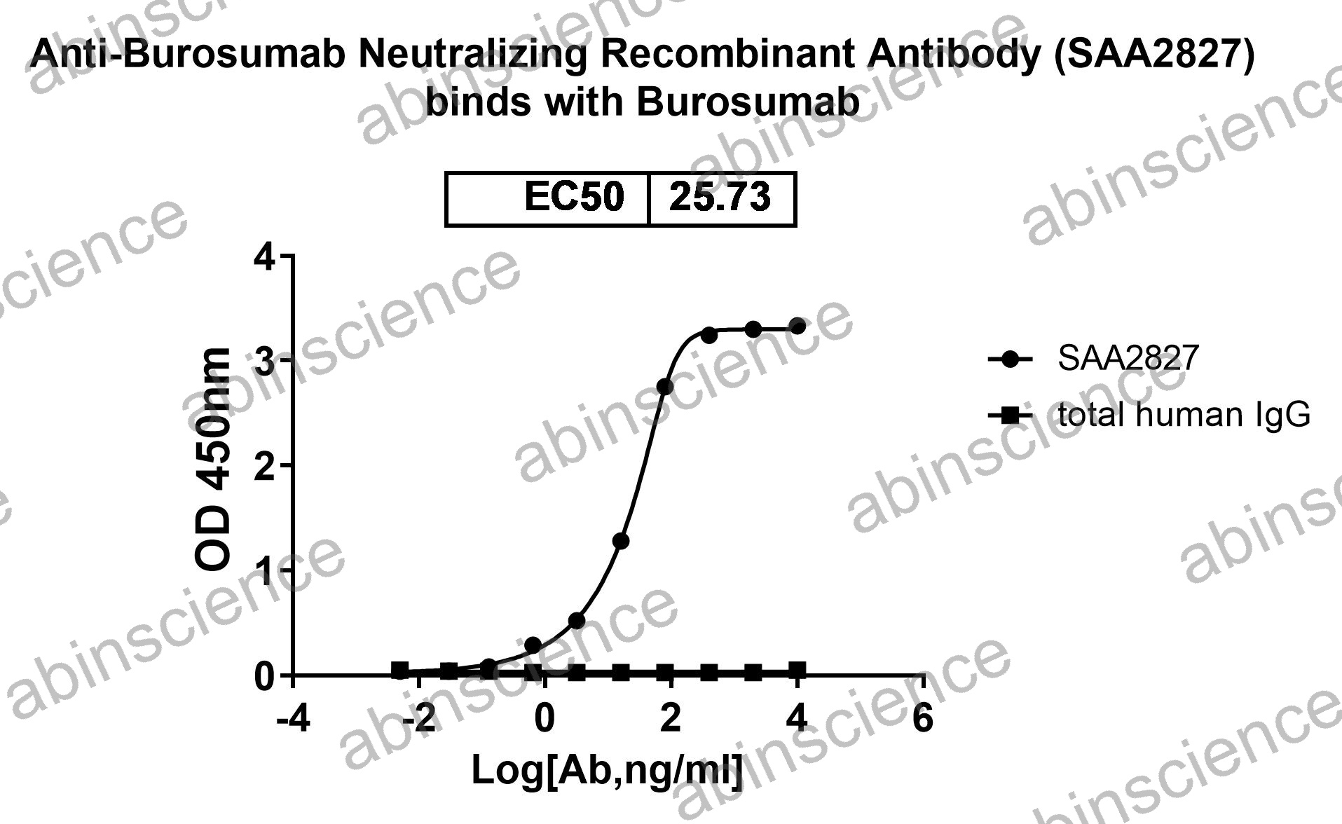 Anti-Burosumab Neutralizing Recombinant Antibody (SAA2827)
