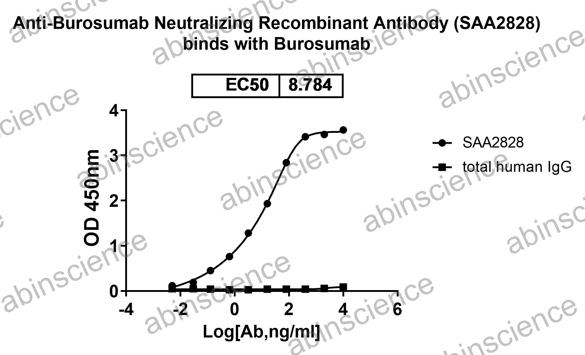 Anti-Burosumab Neutralizing Recombinant Antibody (SAA2828)