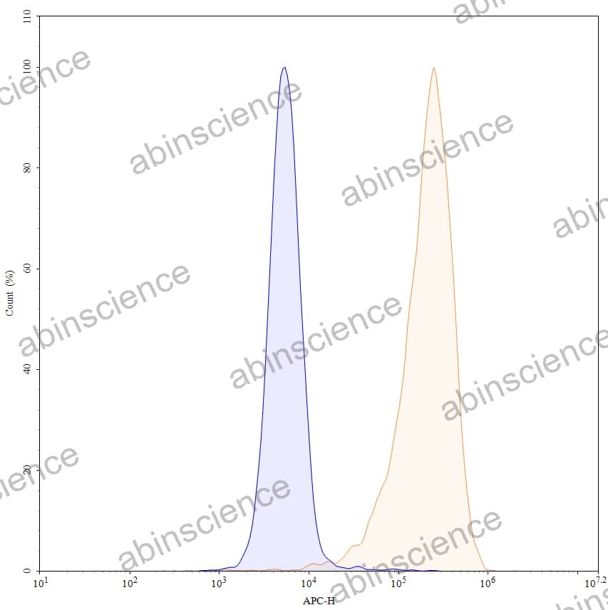 Anti-Human STEAP2 Recombinant Antibody (SAA2102), APC