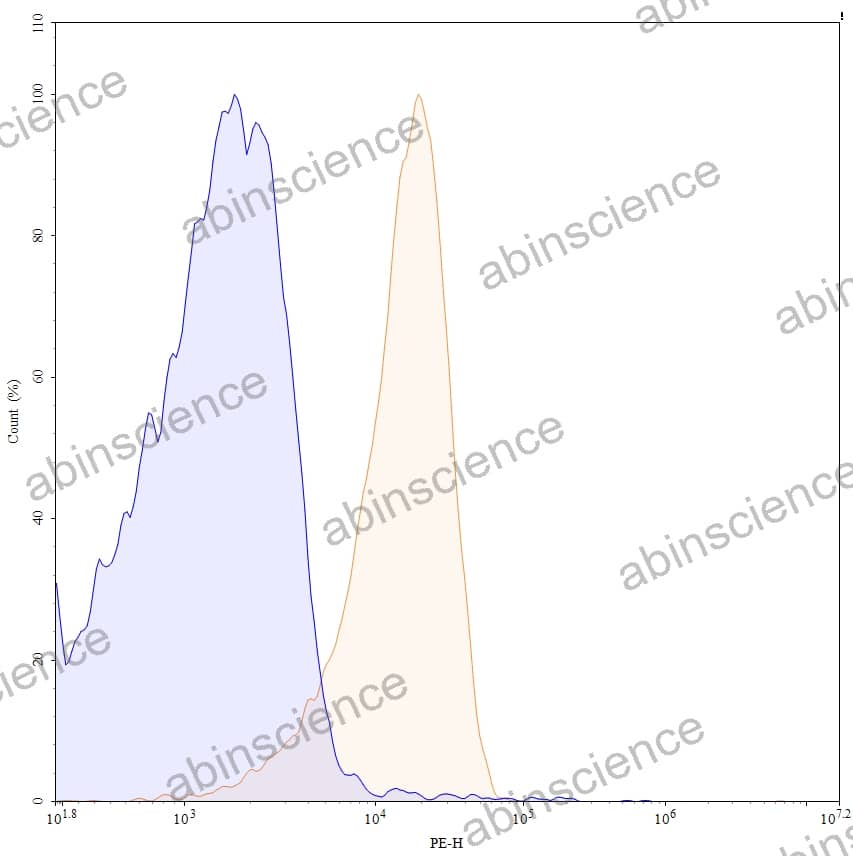 Research Grade Epratuzumab
