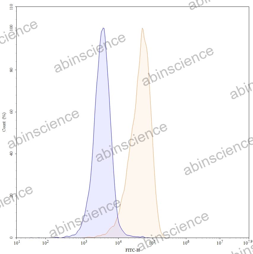 Research Grade Epratuzumab