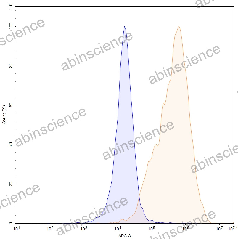 HEK293T Human CD197/CCR7 Stable Cell Line