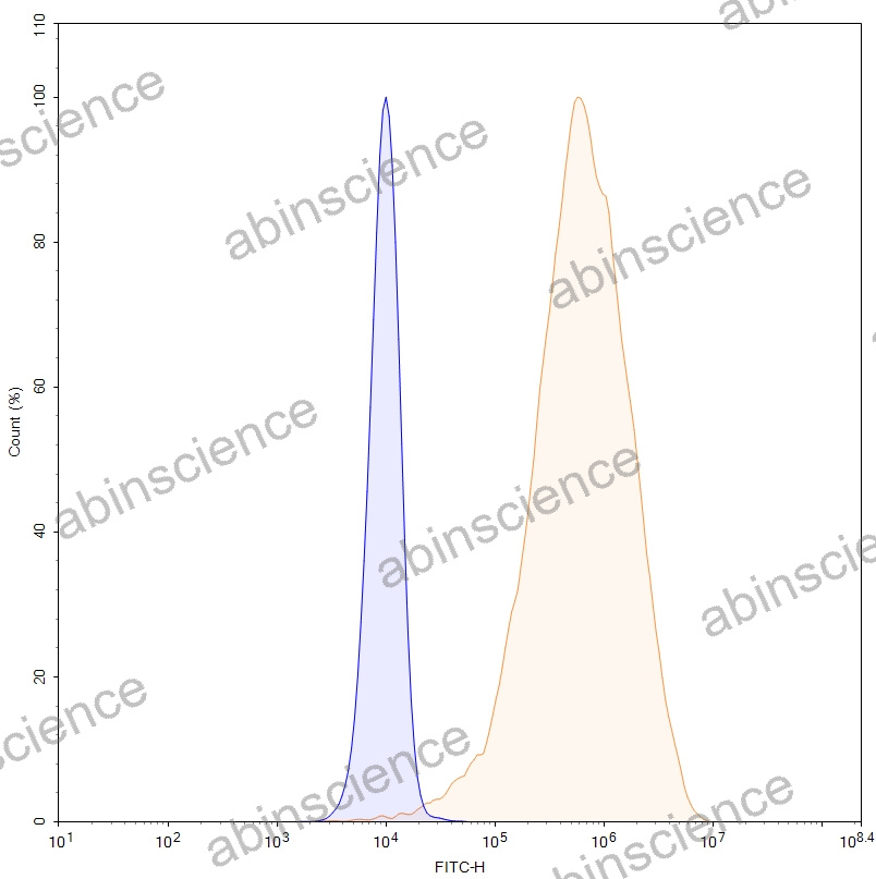 HEK293T Human CD142/F3/TF Stable Cell Line