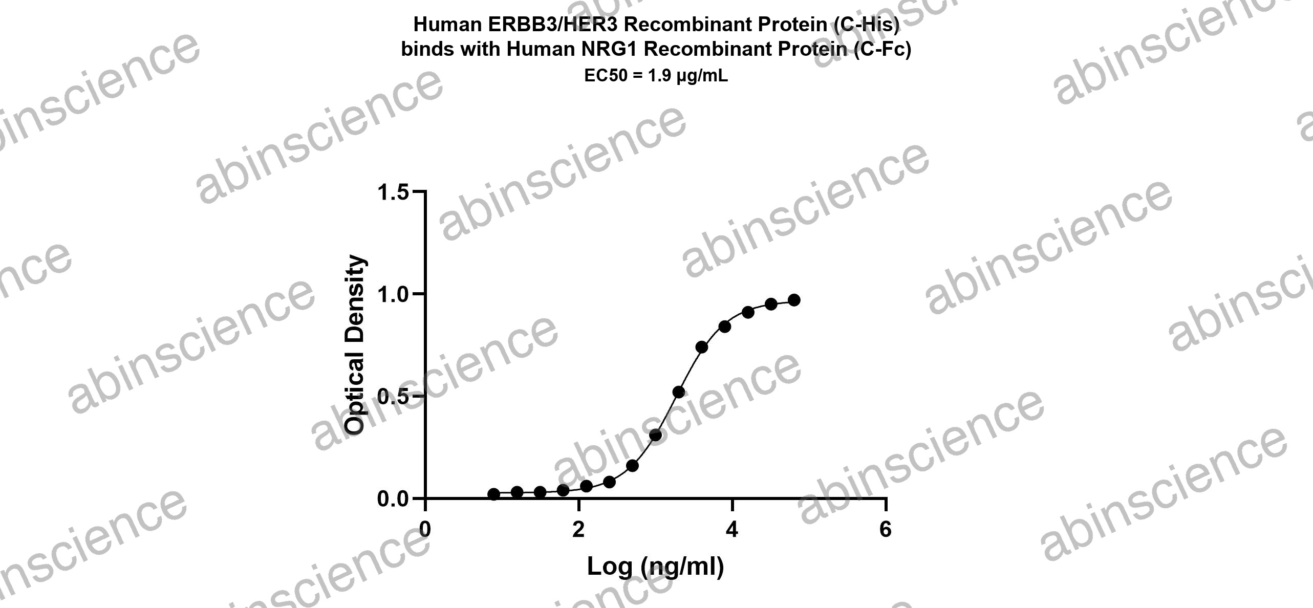Human ErbB3/Her3 Recombinant Protein (C-His)