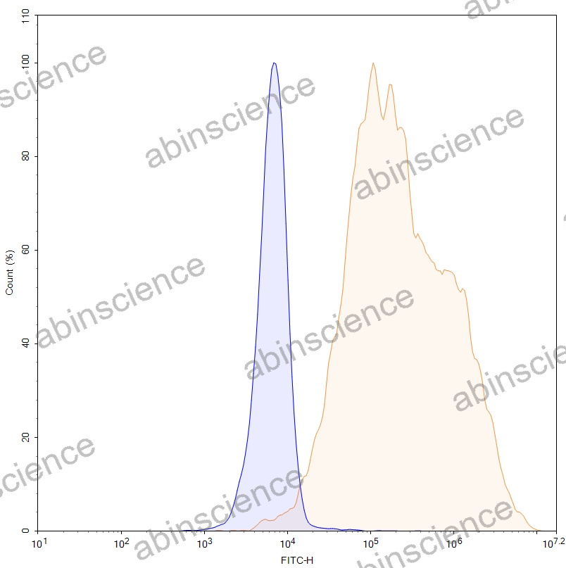 HEK293T Human ERBB3/HER3 Stable Cell Line