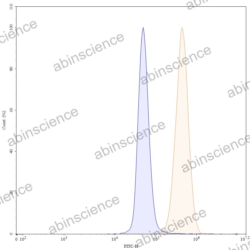 Anti-Human Gal3/Galectin-3 Recombinant Antibody (M3/38)