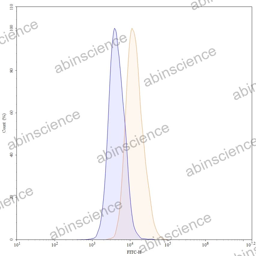 Anti-Human CD66b/CEACAM8 Antibody (BW250/183), FITC
