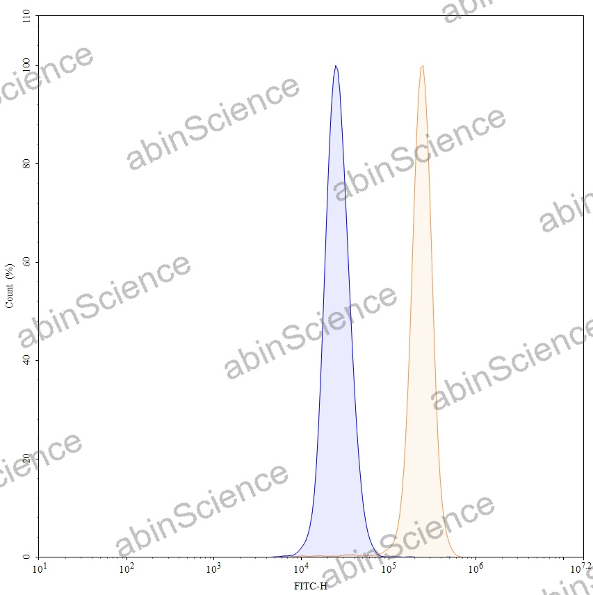 Anti-Human GUCY2C Recombinant Antibody (SAA0124), FITC