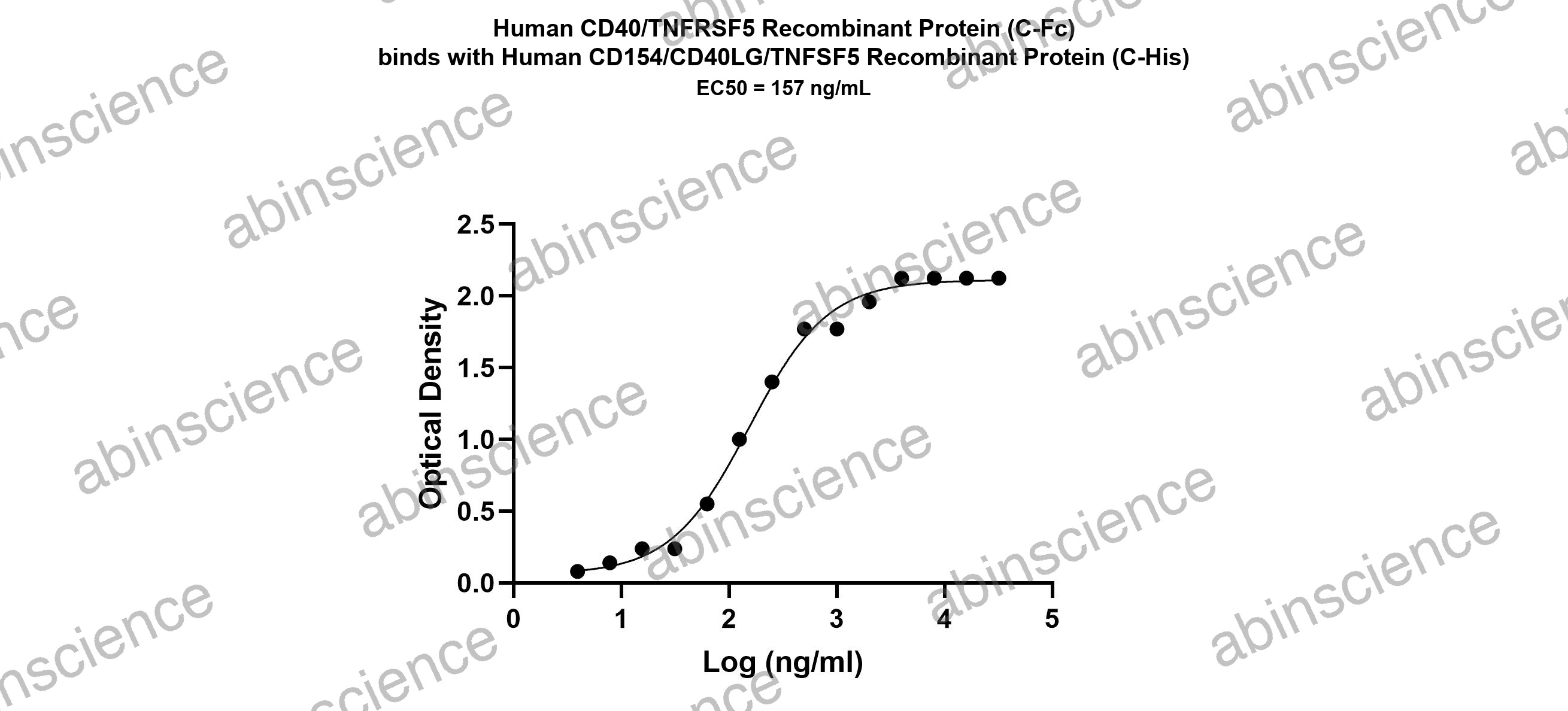 Human CD40/TNFRSF5 Recombinant Protein (C-Fc)