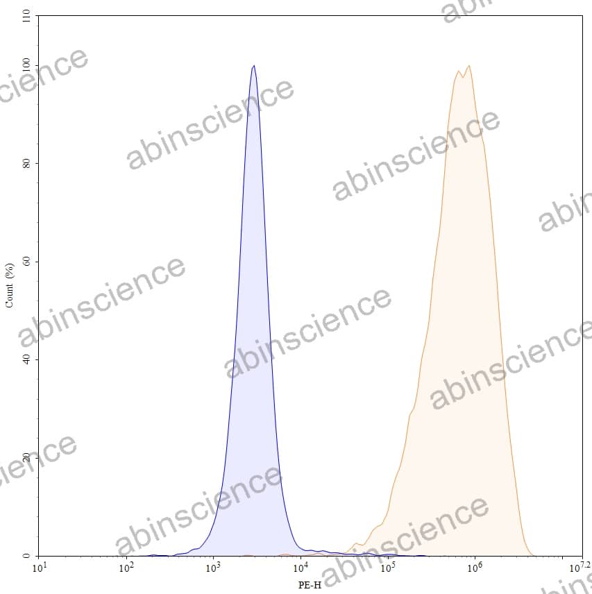 Anti-Human SSTR2/SRIF-1 Recombinant Antibody (18087)