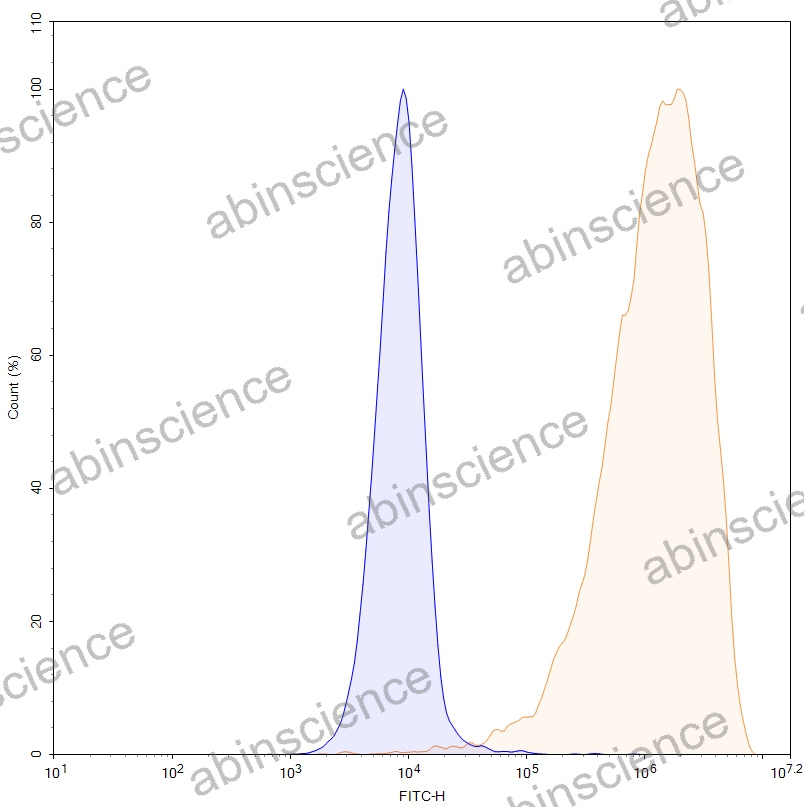 HEK293T Human SSTR2/SRIF-1 Stable Cell Line