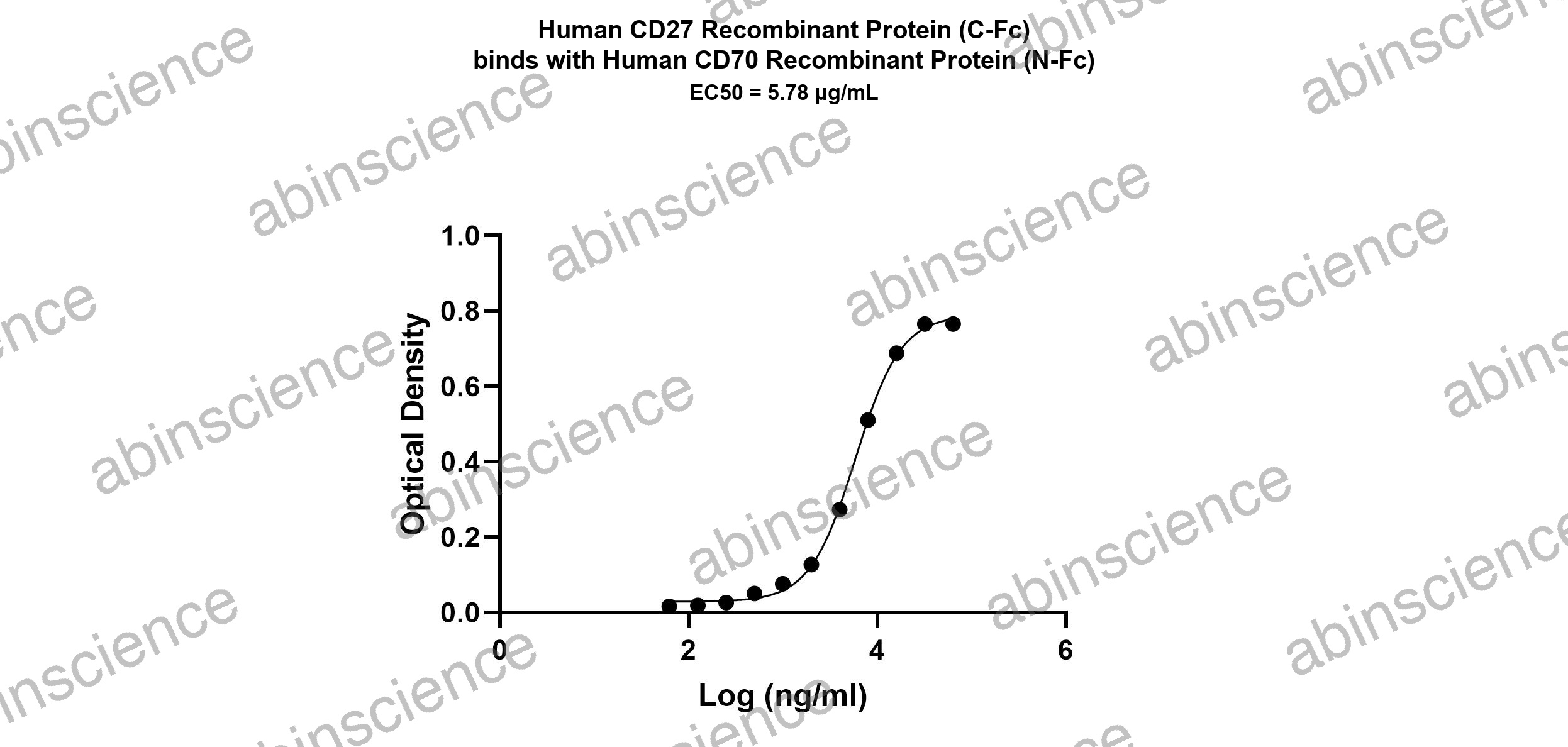 Human CD27 Ligand/TNFSF7/CD70 Recombinant Protein (C-Fc)