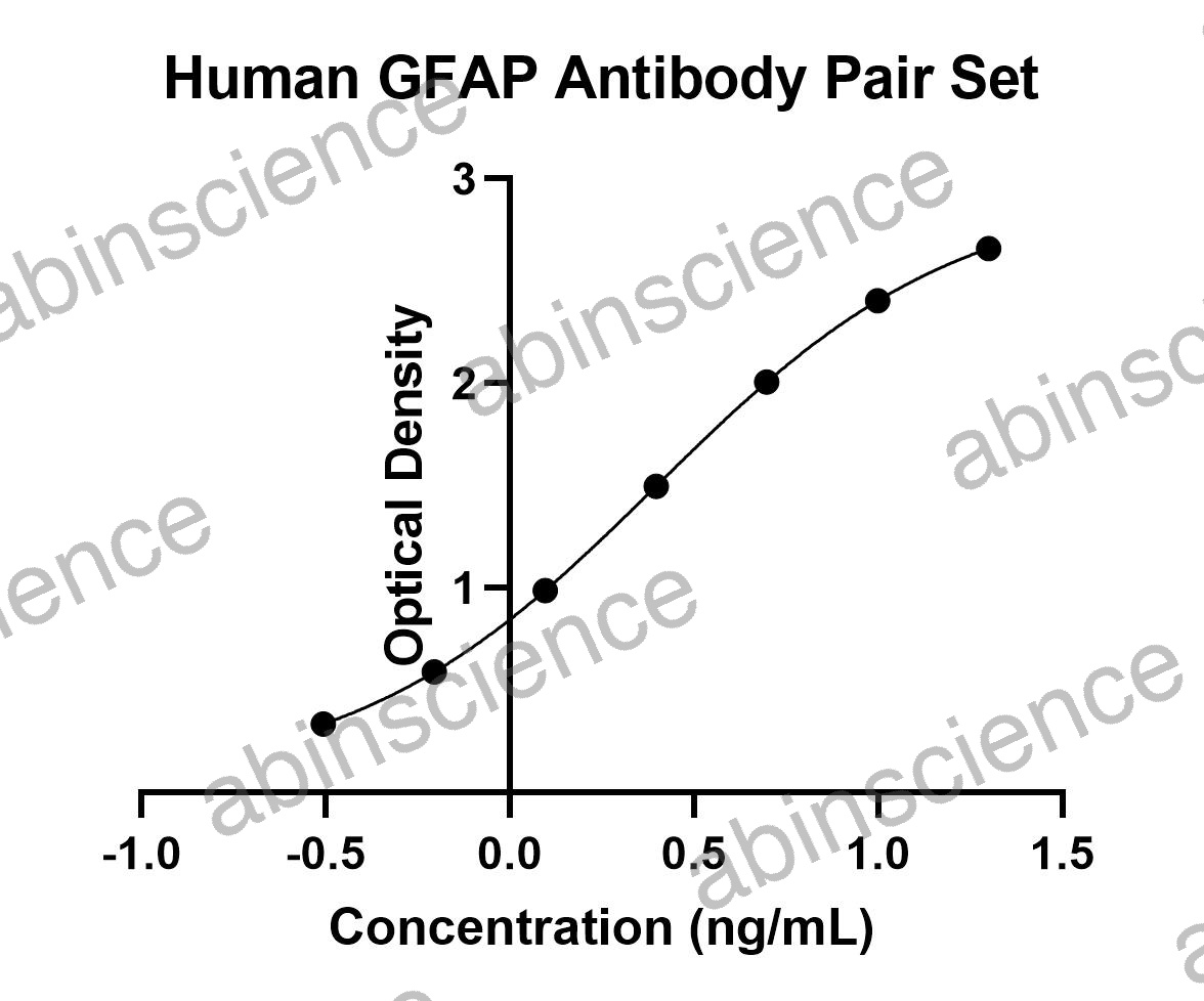 Human GFAP Antibody Pair Set