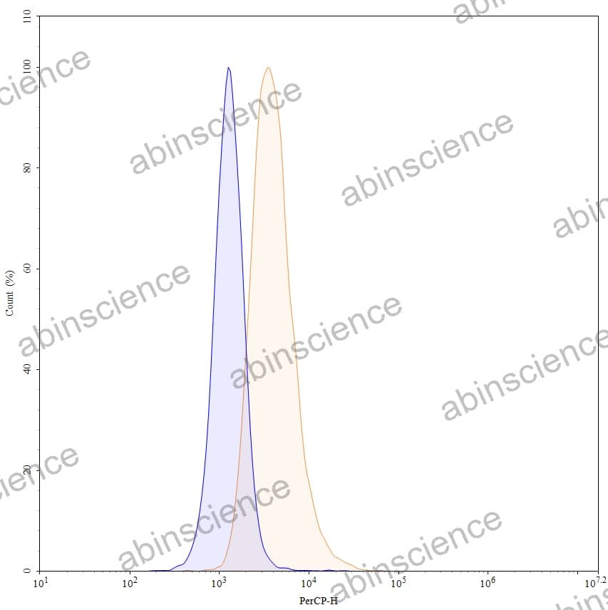 Anti-Human CD66a/CEACAM1 Recombinant Antibody (SAA0761), PerCP