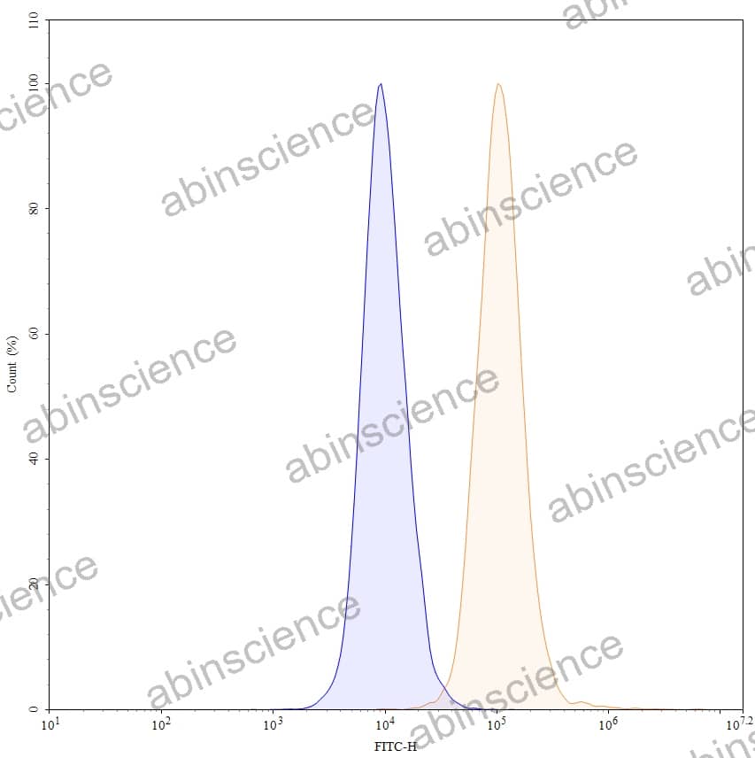 Anti-Human CD9 Antibody (SAA0003), FITC