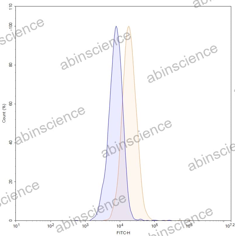 Anti-Human ADAM9 Reference Antibody (IMGC936, RUO)
