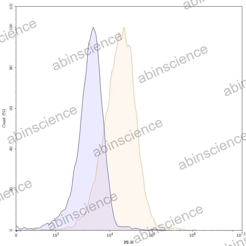 Anti-Human Cadherin-17 Recombinant Antibody (SAA0347), PE