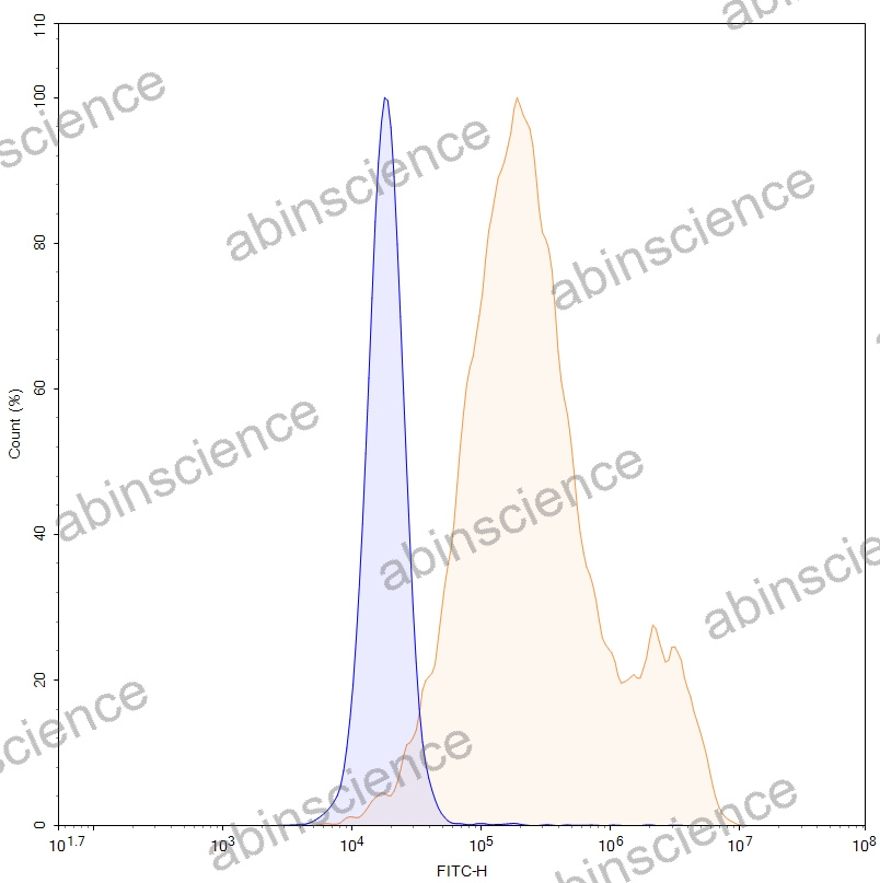 HEK293T Human EGFRvIII Stable Cell Line