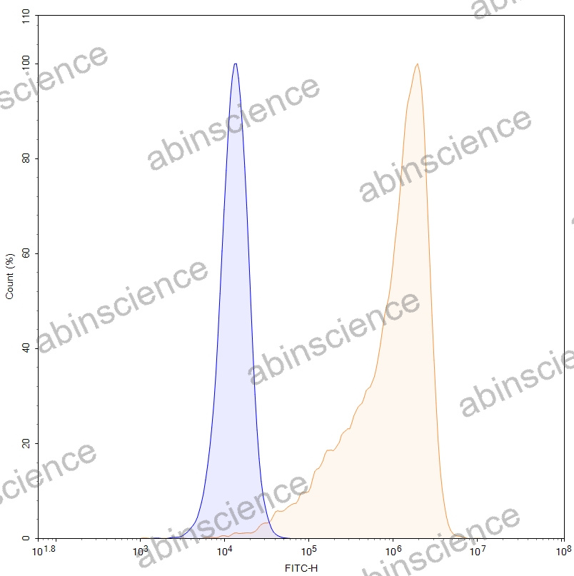 HEK293T Human EGFR/ERBB1/HER1 Stable Cell Line