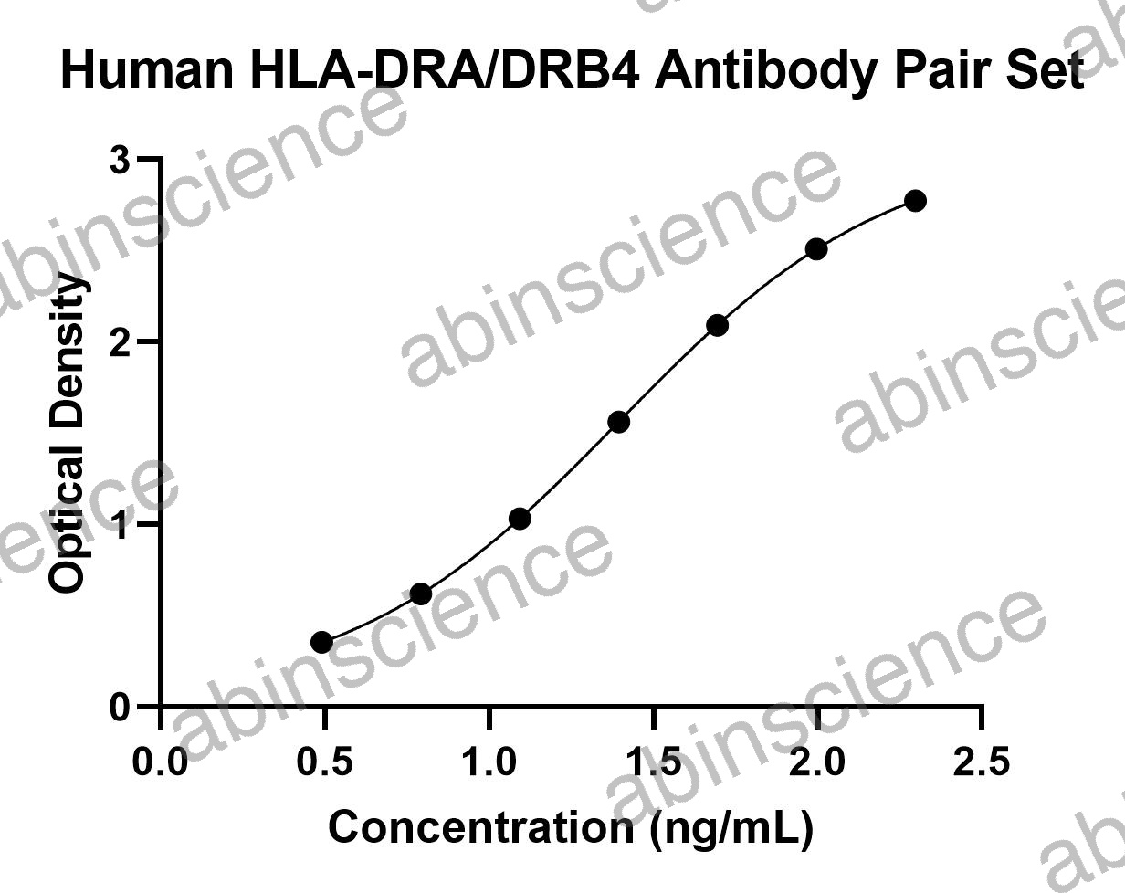 Human HLA-DRA/DRB4 Antibody Pair Set