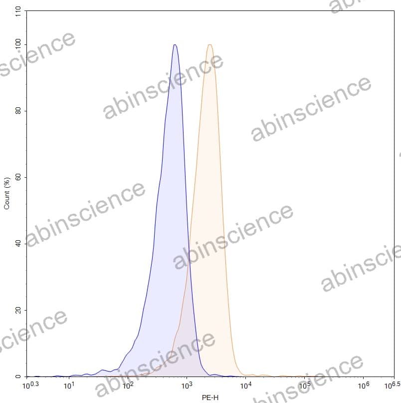 Anti-Human TCR αβ/alpha-beta TCR Recombinant Antibody (BMA 031), PE